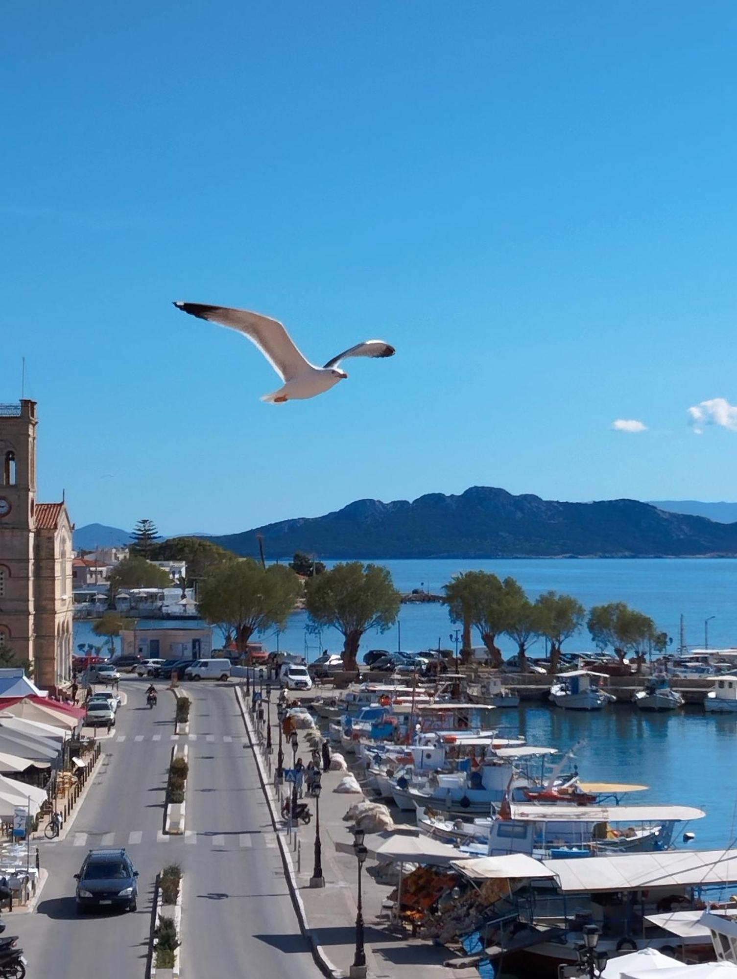 Aegina Port Apt 2-Διαμέρισμα Στο Λιμάνι Της Αίγινας 2 외부 사진